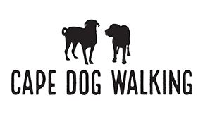 CAPE DOG WALKING