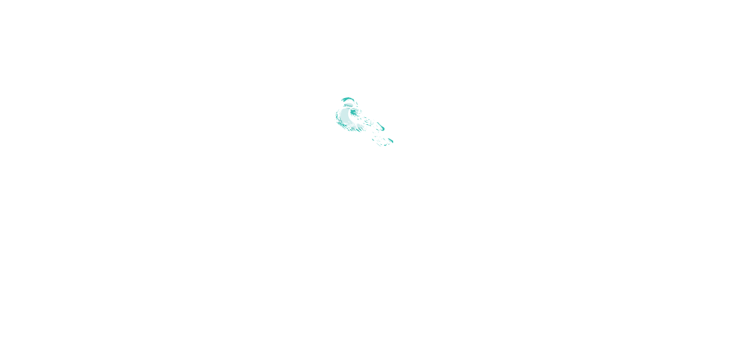 Chicago Photographer - Newborn, Baby & Family