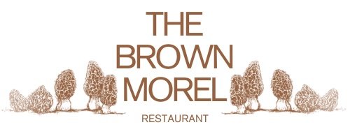 The Brown Morel