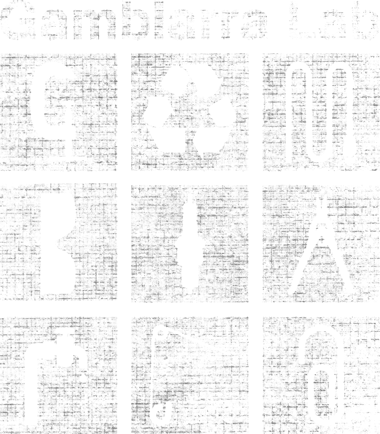 Gambiarra Lab