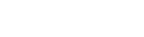 SALESFORCE Managed Services