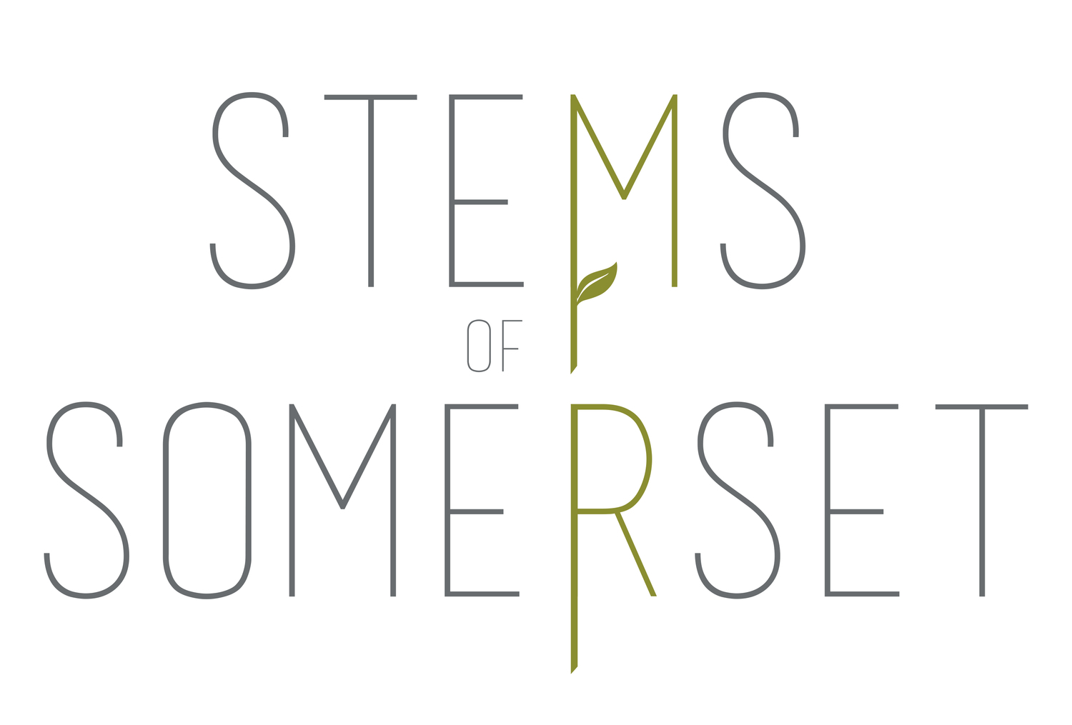 Stems of Somerset