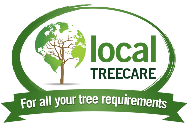 Local Tree Care - Albury/Wodonga&#39;s award winning Arborists