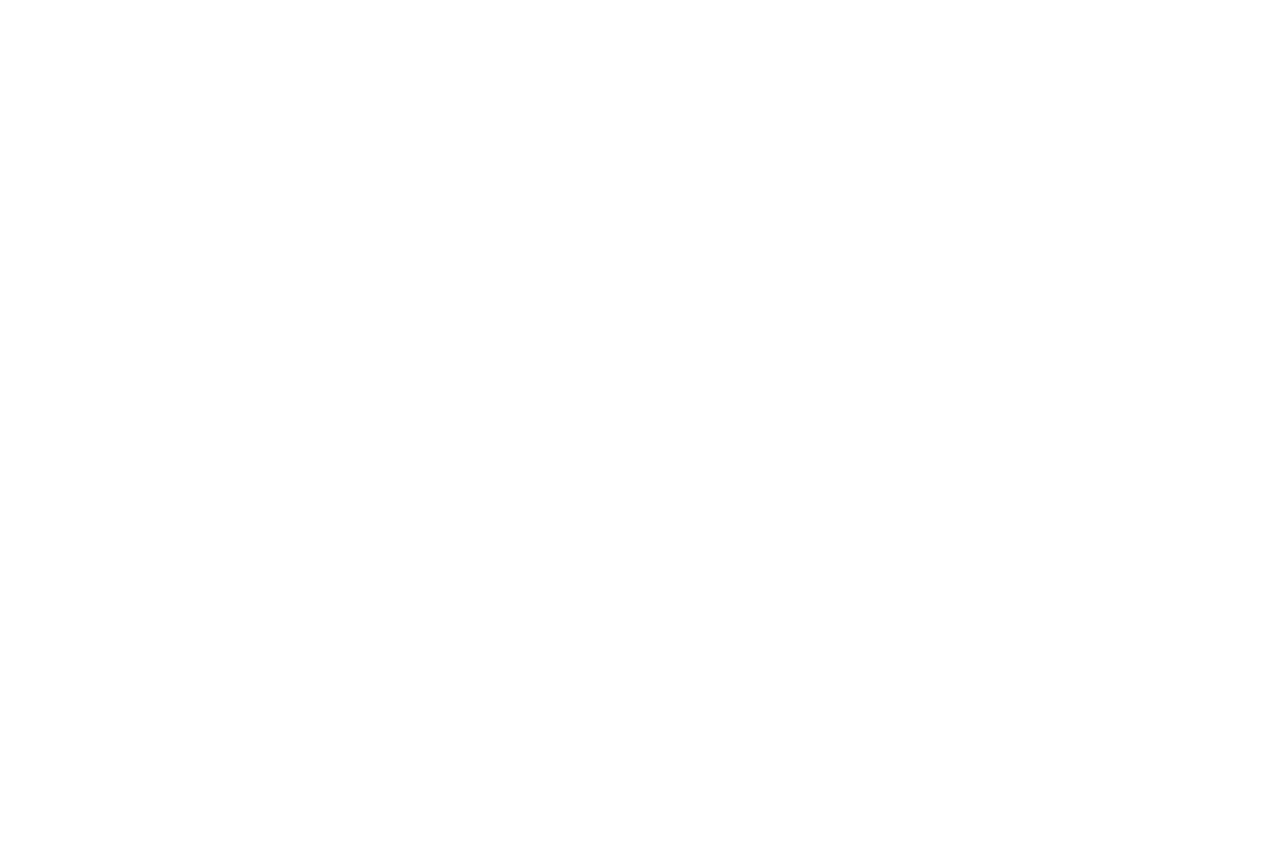 Nelson Log Restoration