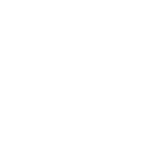 Erik Andersen Art