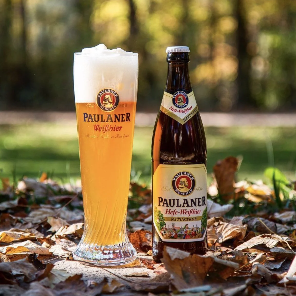 Paulaner пшеничное