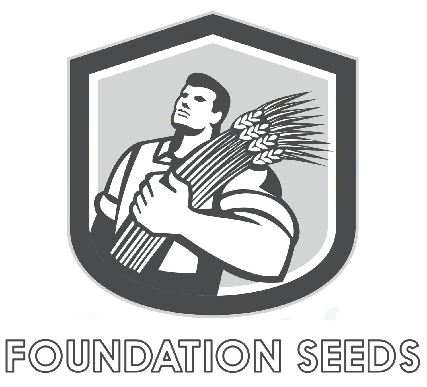 Foundation Seeds