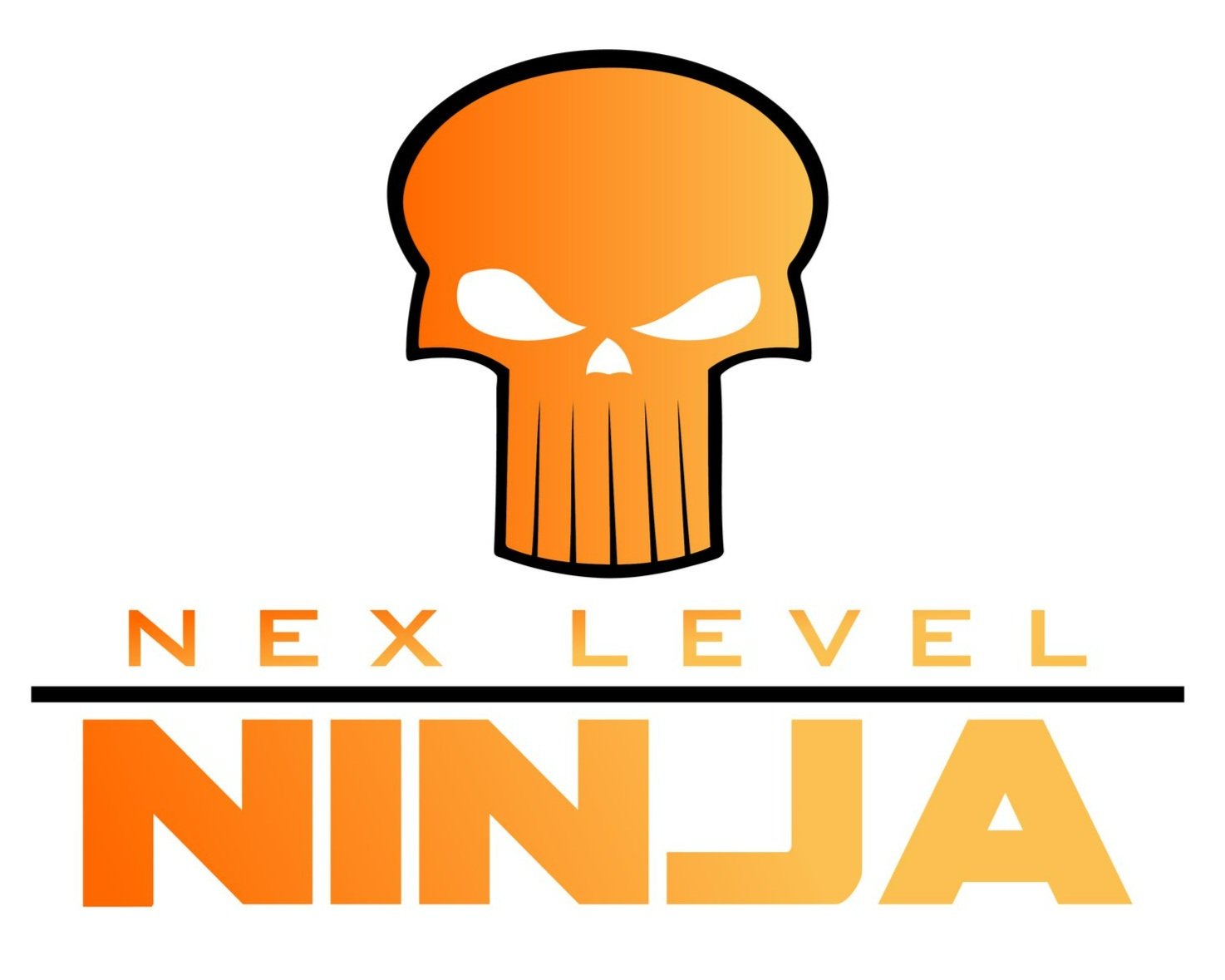 Nex Level Ninja 