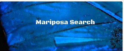 Mariposa Search