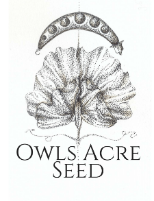 Owl's Acre Seed