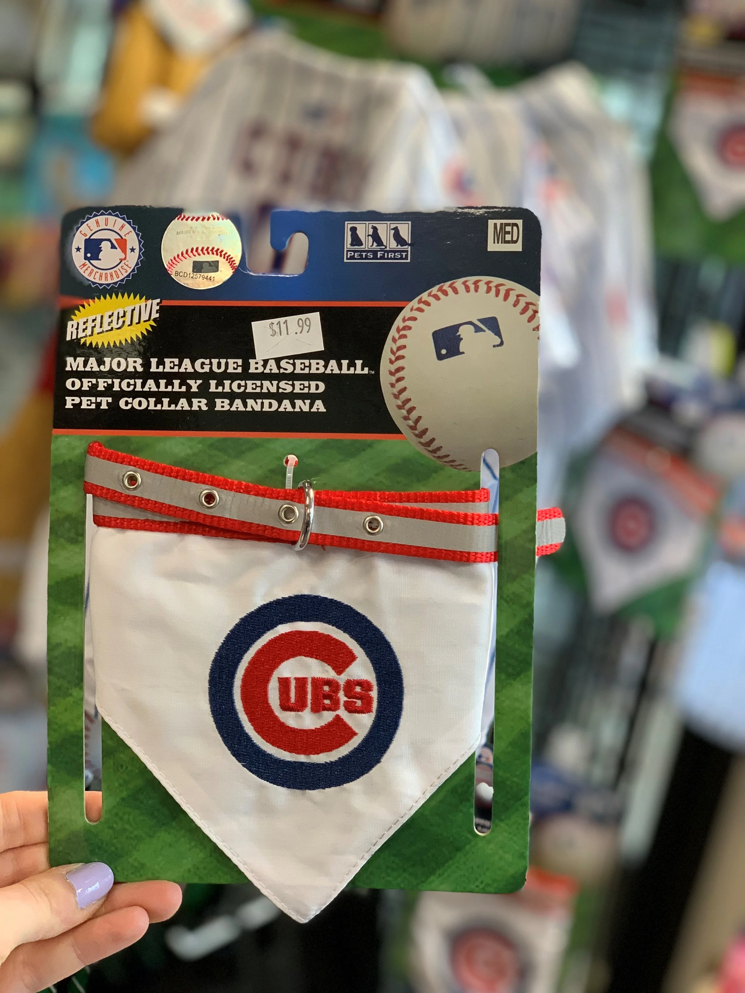 cubs pet bandana