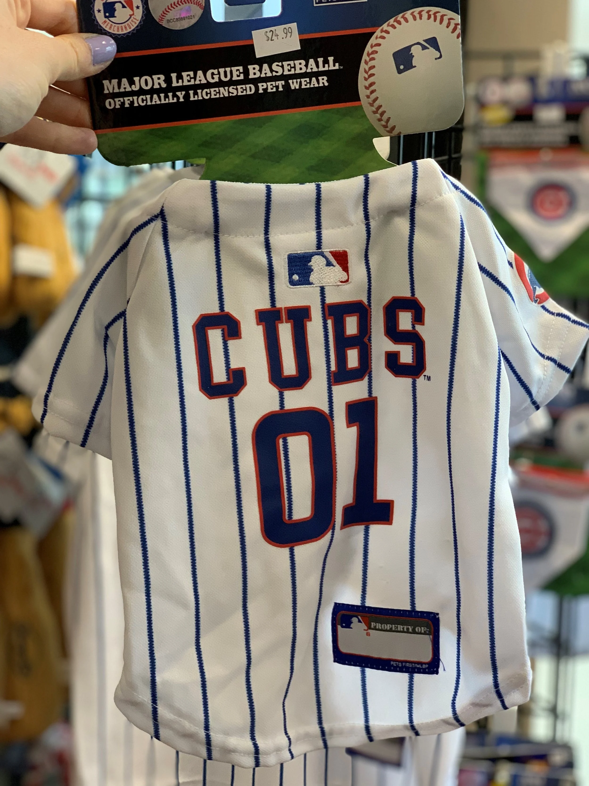 cubs pet jersey