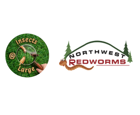 Insects @ Large & Northwest Redworms