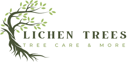 lichen trees