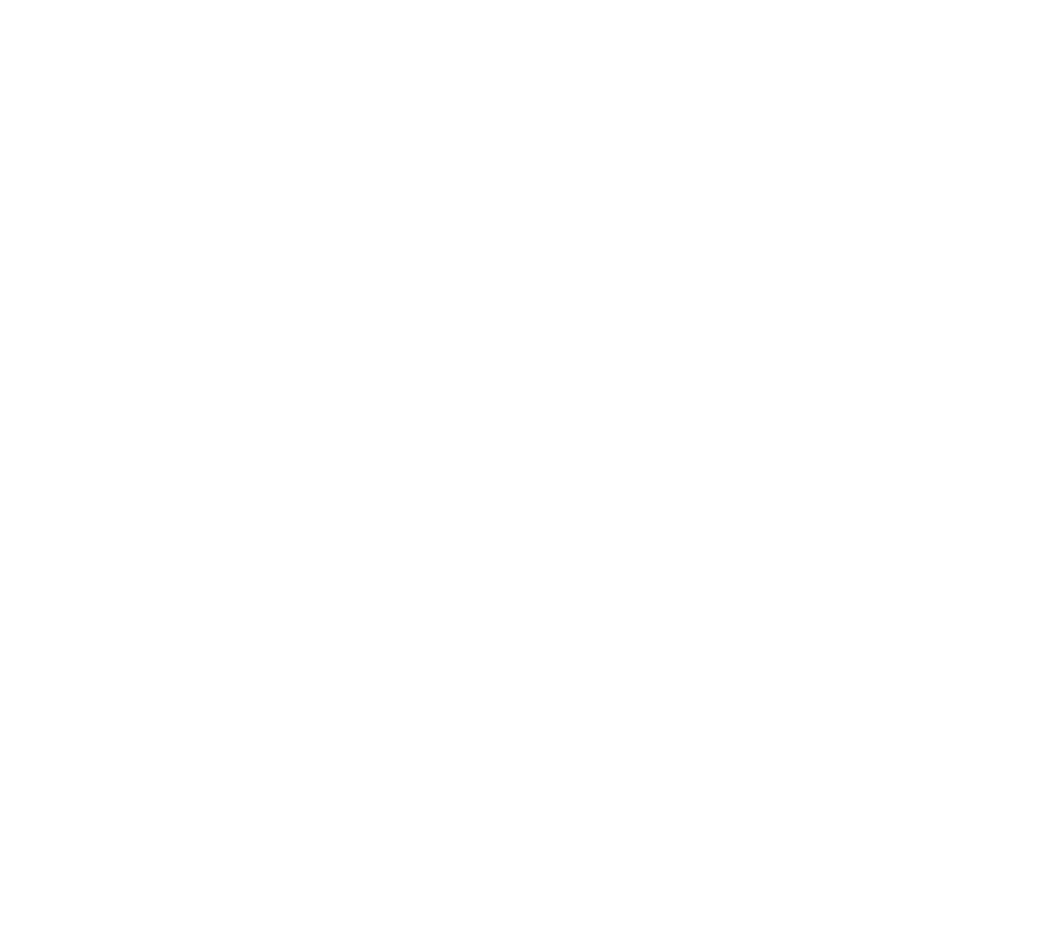Bridges Family Care Inc.