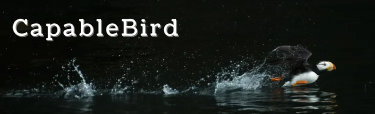 CapableBird