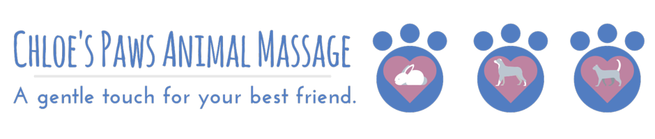 Chloe's Paws Animal Massage