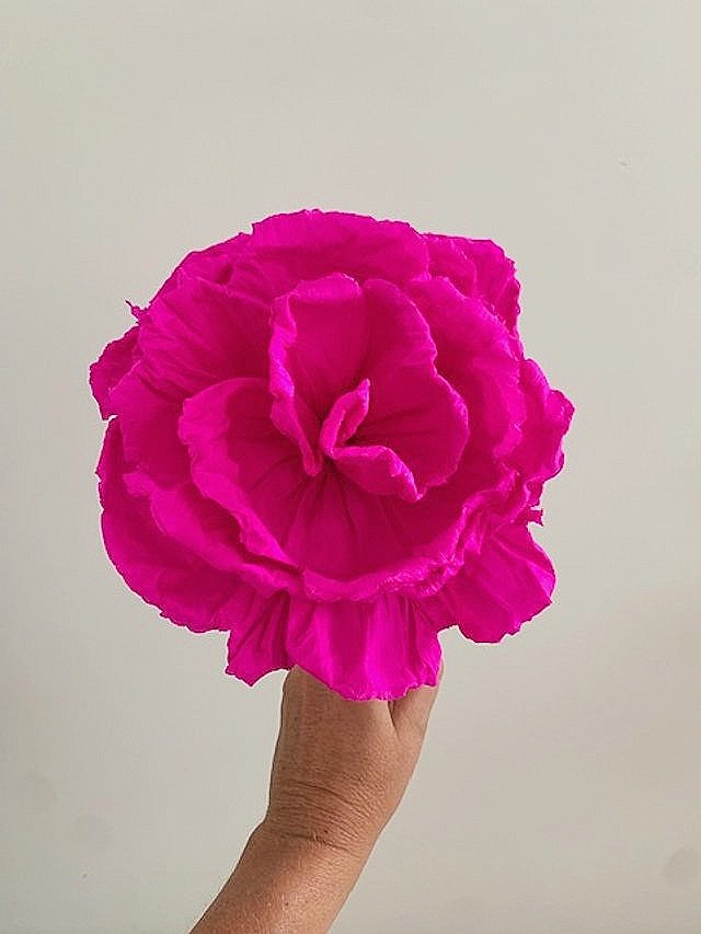 ESPLORA - Mexican Paper Flowers