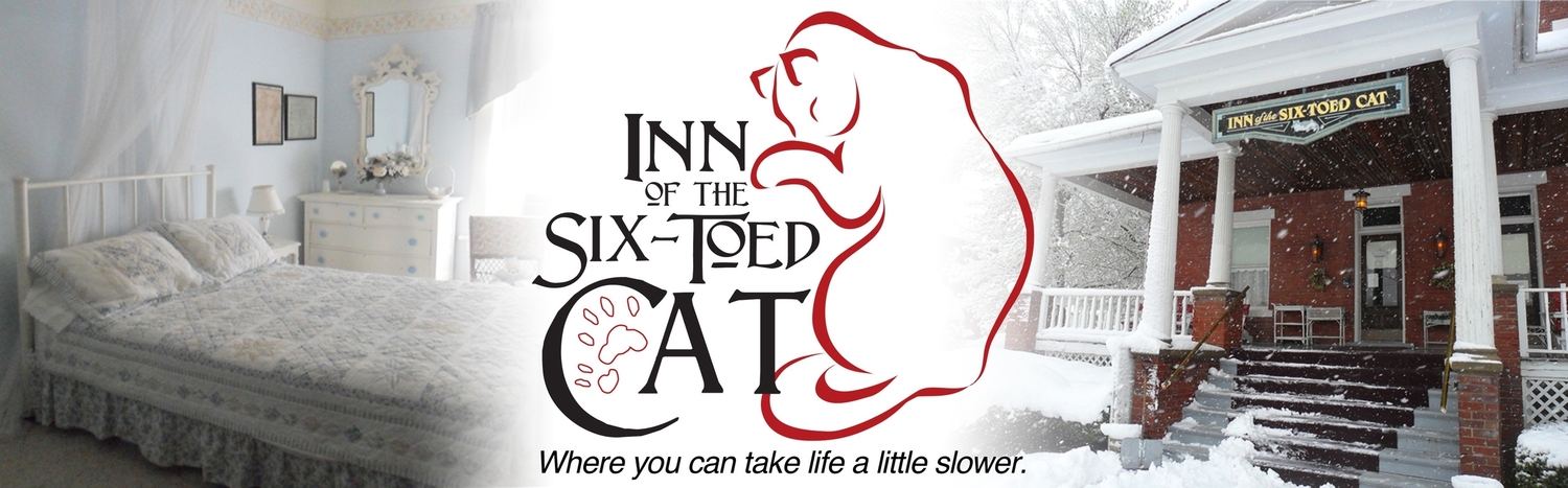 Inn of the Six-Toed Cat