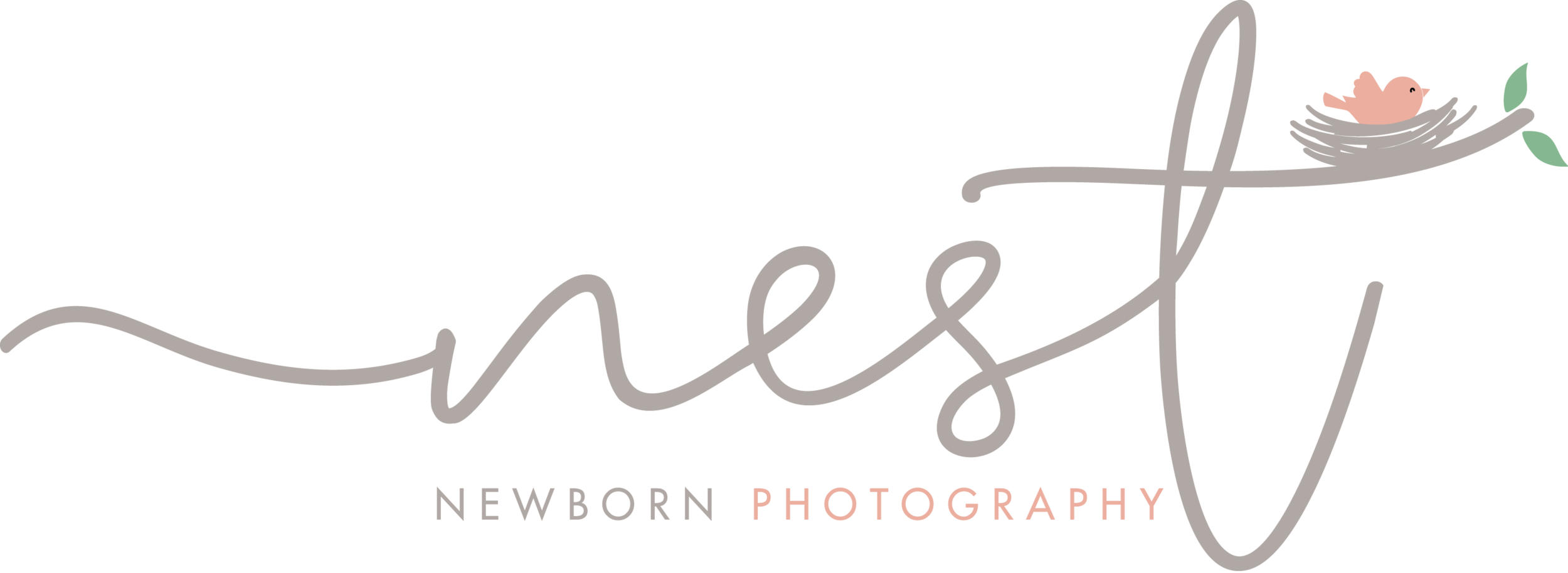 Nest Newborns | Newborn Photography &amp; Maternity Photography Dallas Fort Worth