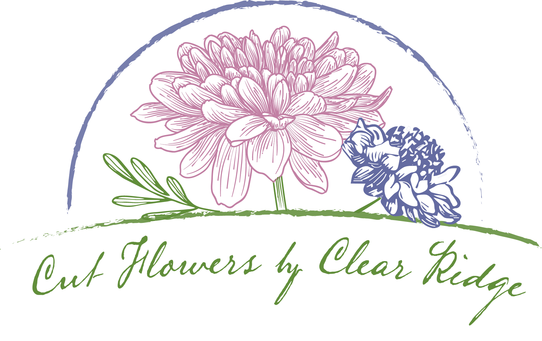 Cut Flowers by Clear Ridge