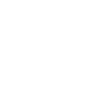 33 1/3