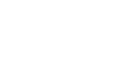 VIRIDIS ENTERPRISES