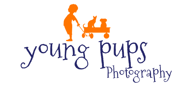 Young Pups Photography