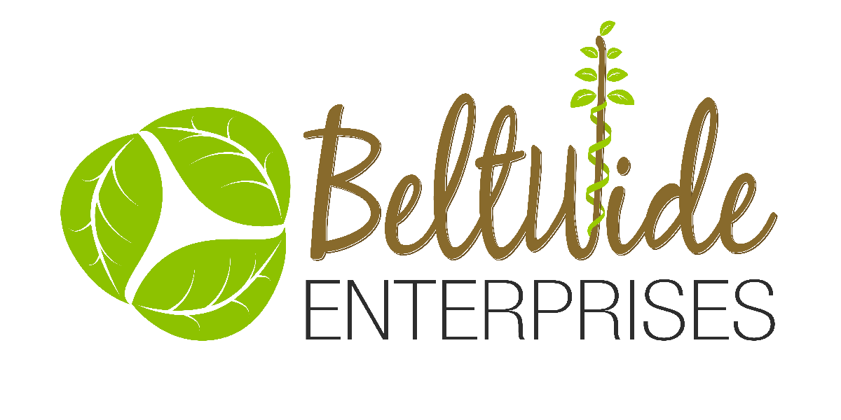 Beltwide Enterprises