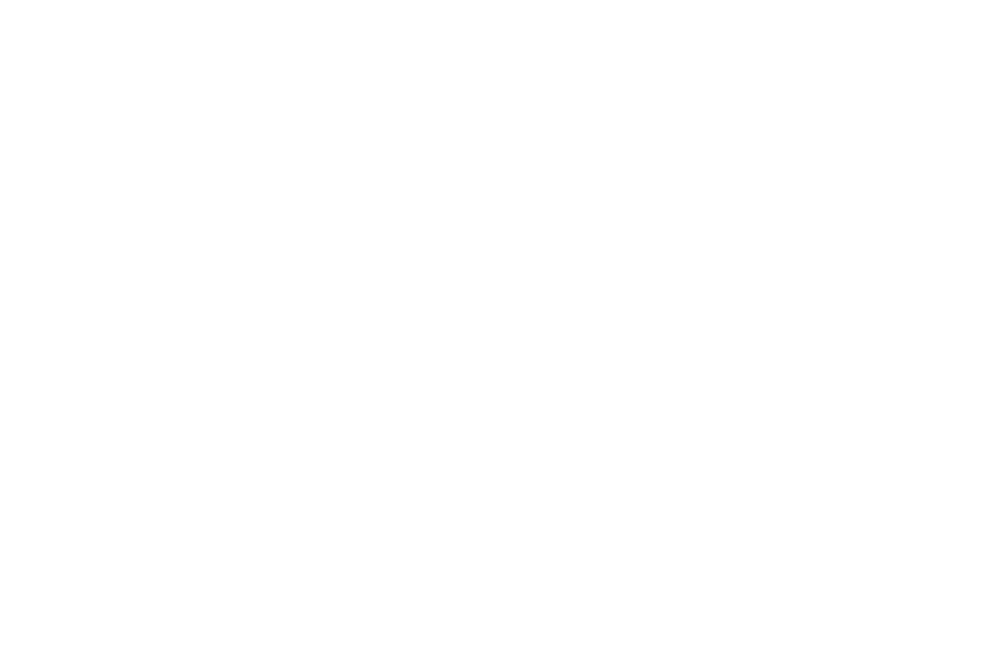 Dana Consulting dana-consulting