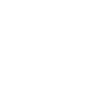 Audiotraveler