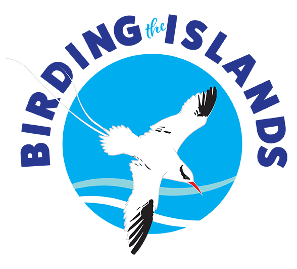 Birding the Islands