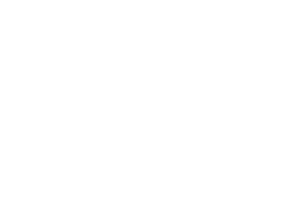 VP Dog Training