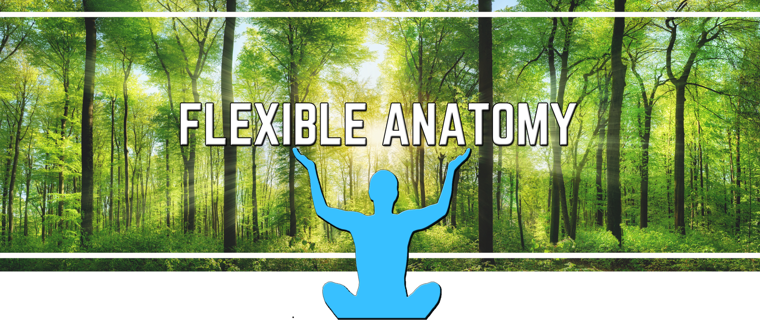 Flexible Anatomy 