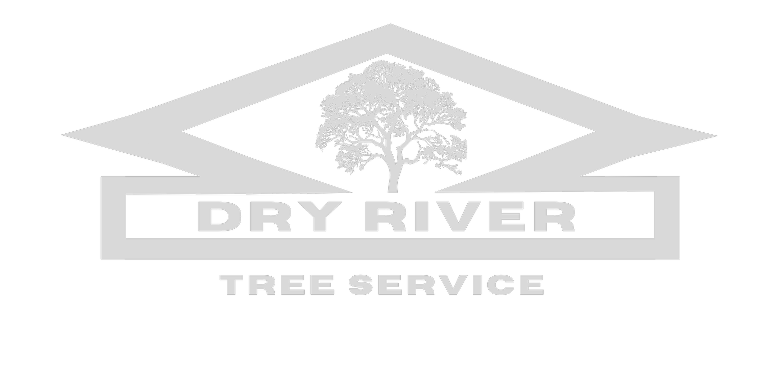 Dry River Tree Service
