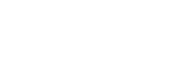 RCV Partners