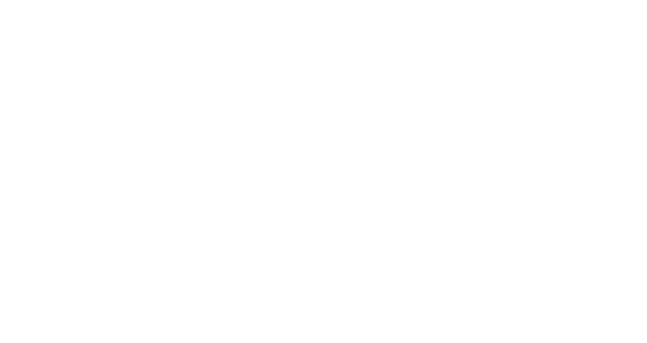 Mount Sneffels Education Foundation