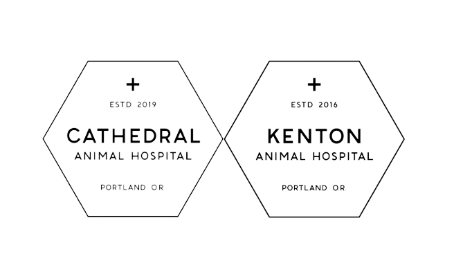 Kenton Animal Hospital // Cathedral Animal Hospital