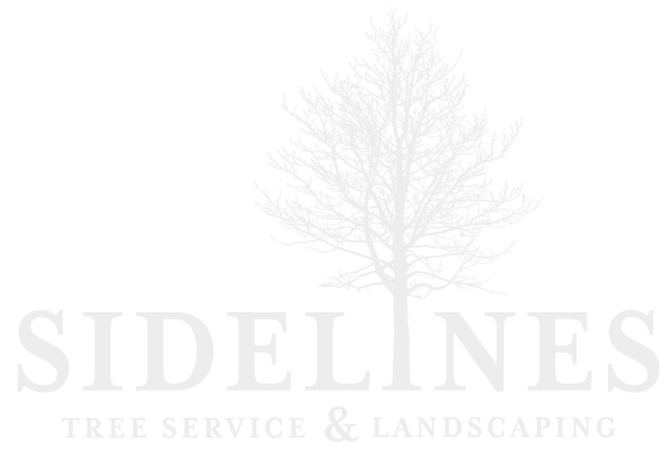 Sidelines Tree Service & Landscaping