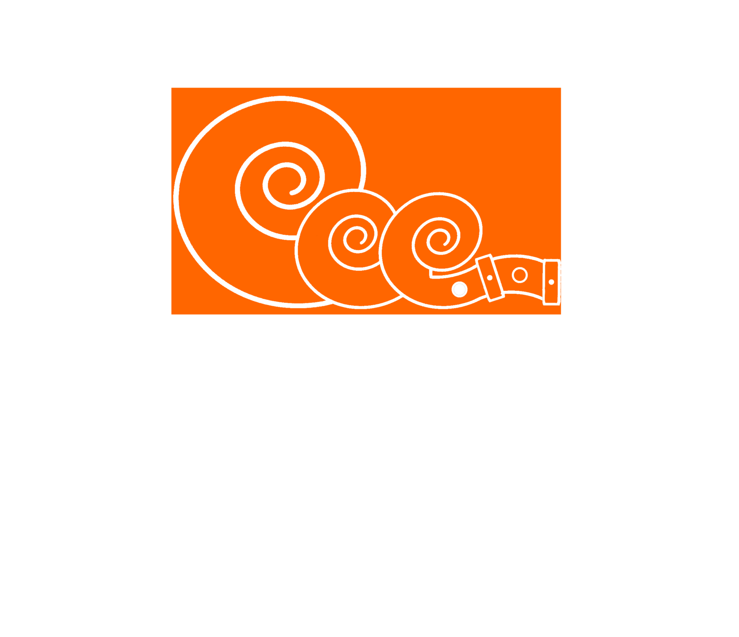 Maxim Strings / Wedding quartet wedding Music in Napa, Sonoma 