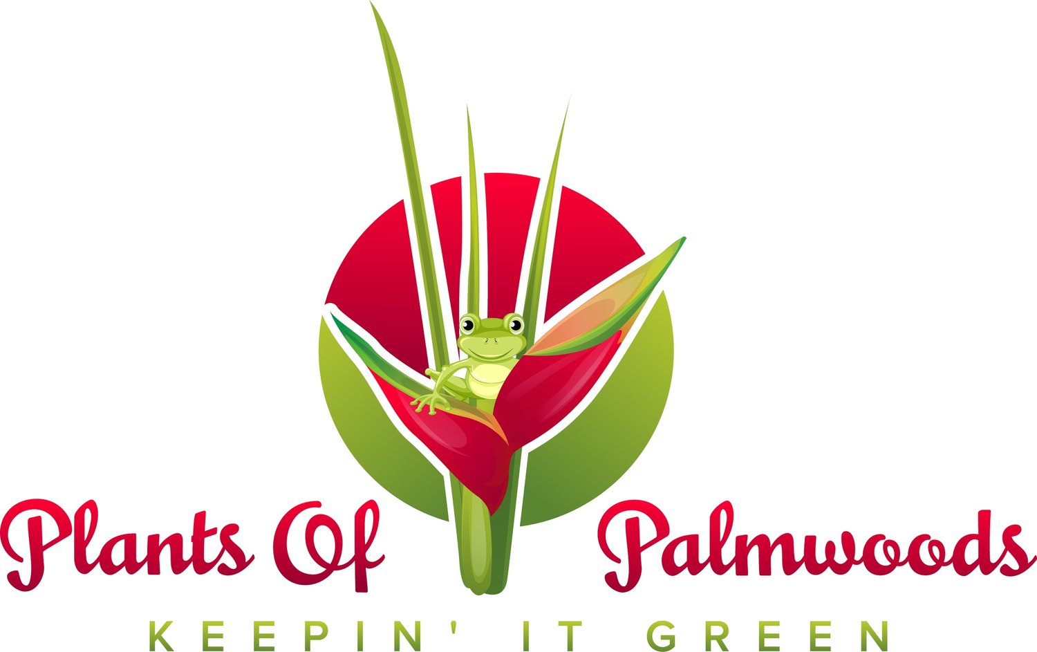 Plants Of Palmwoods 