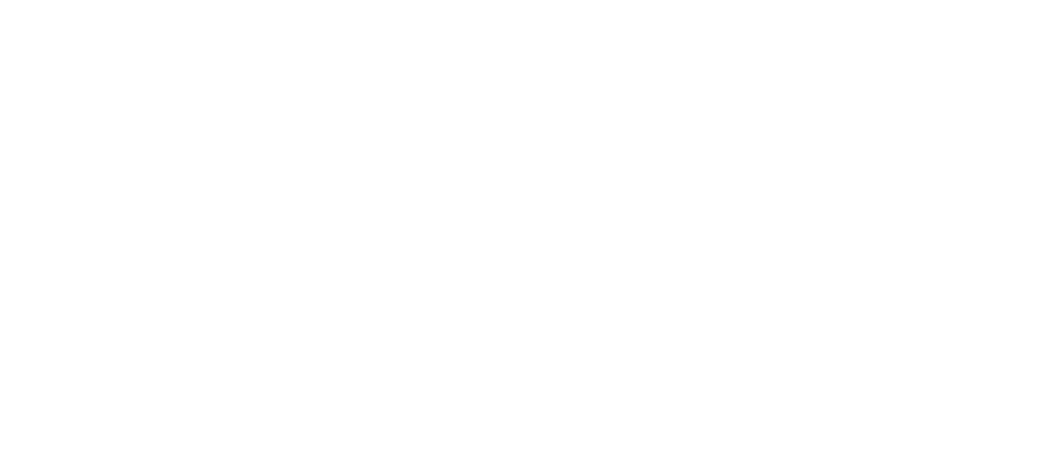 Rebecca Hesse