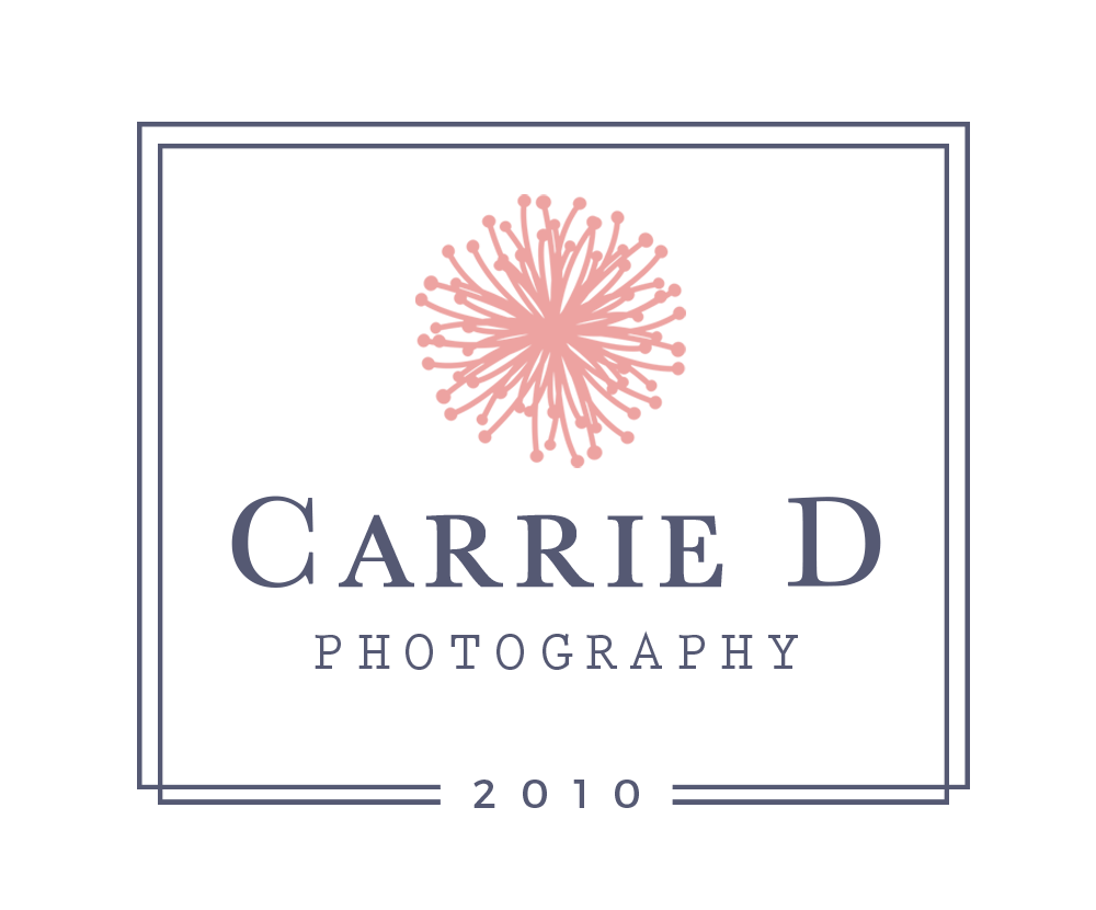 Carrie D Photography
