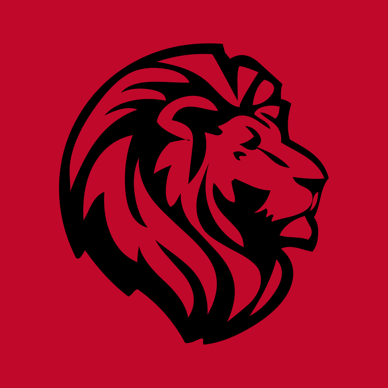 #WEARETHELIONS