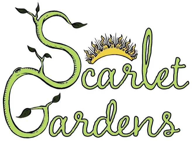Scarlet Gardens