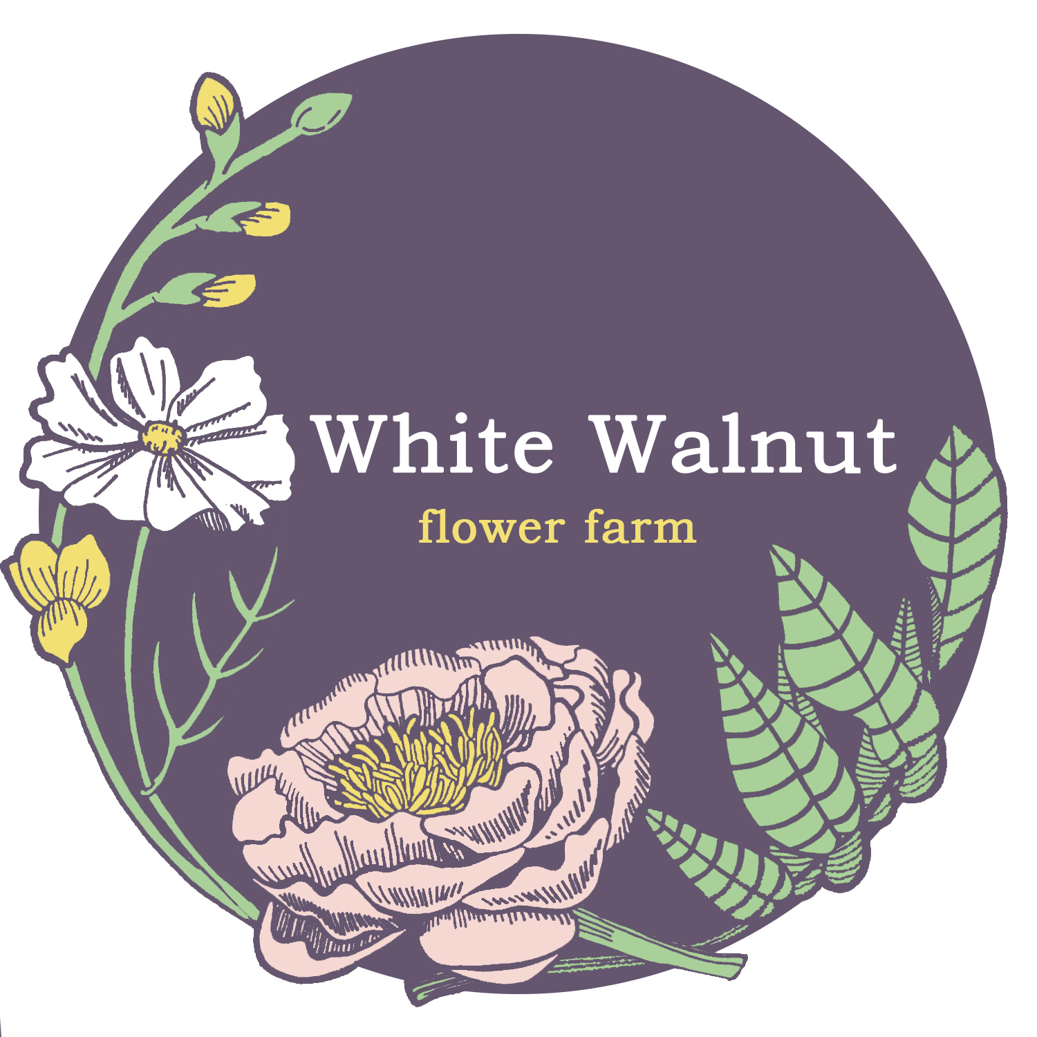 White Walnut Flower Farm