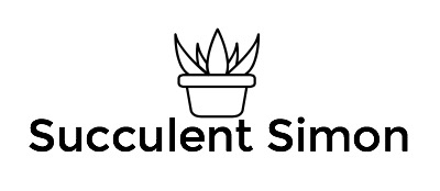 Succulent Simon