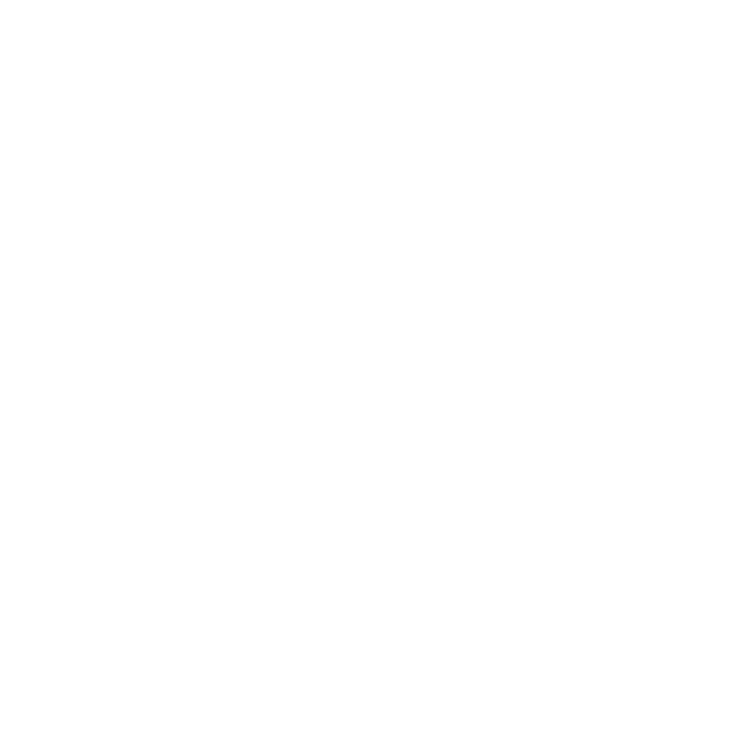 SNOW FINANCIAL GROUP