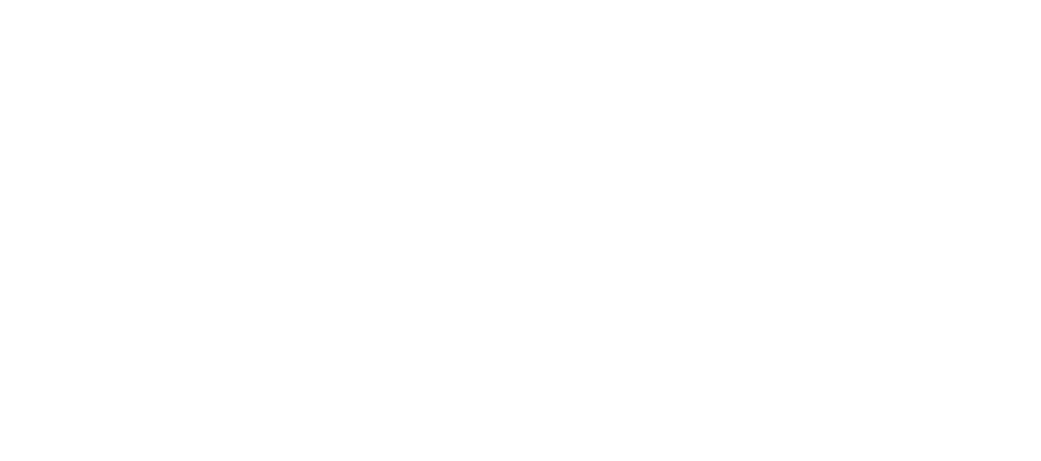 Best Teachers Institute