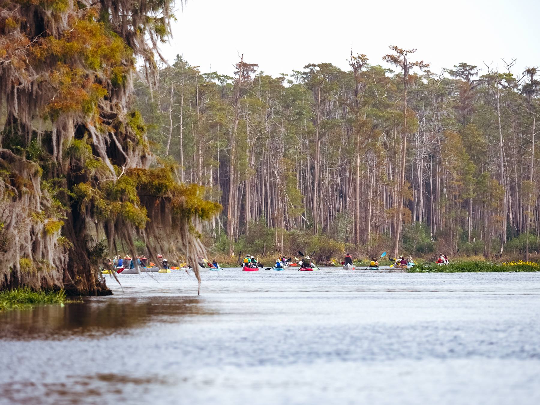 Billy’s Lake in the Okefenokee Nat’l Wildlife Refuge By Phuc Dao